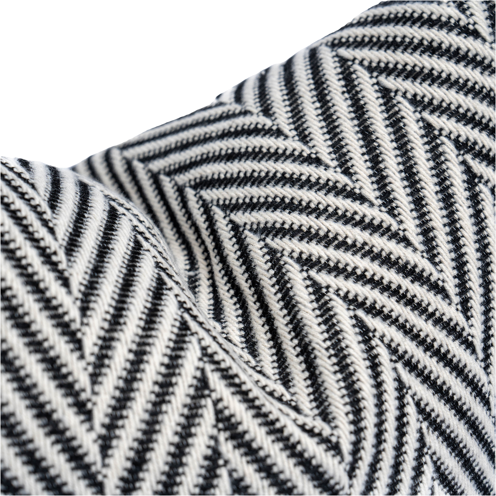 Chic Zebra